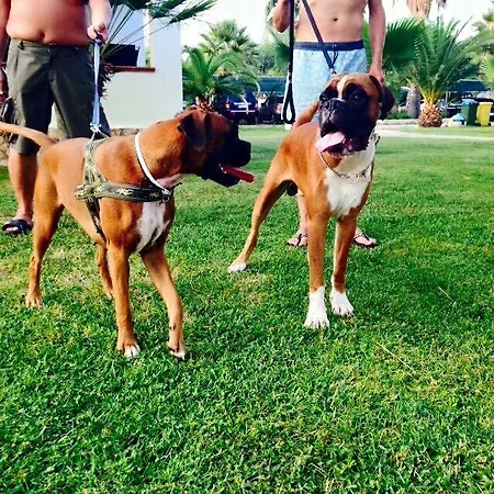 Kompleks wypoczynkowy Villaggio Arcobaleno