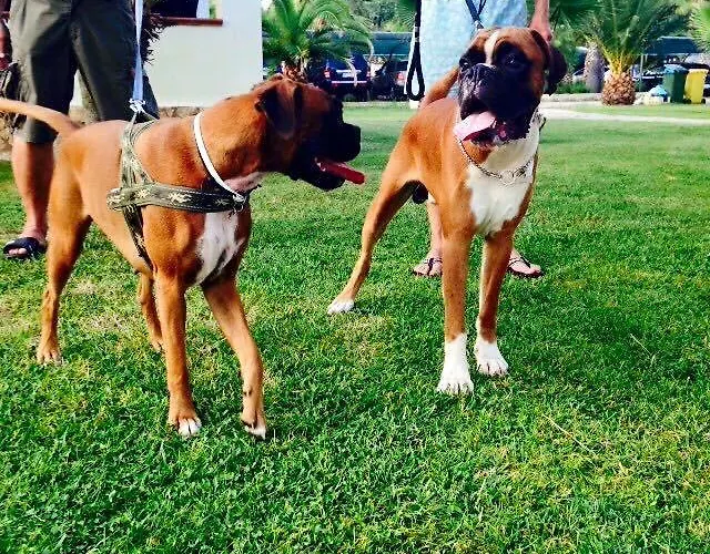 Aldeamento Turístico Villaggio Arcobaleno